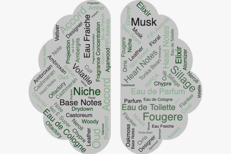 Word cloud of fragrance terms